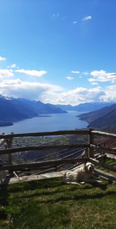 Agriturismo Zertin Gravedona Exteriör bild