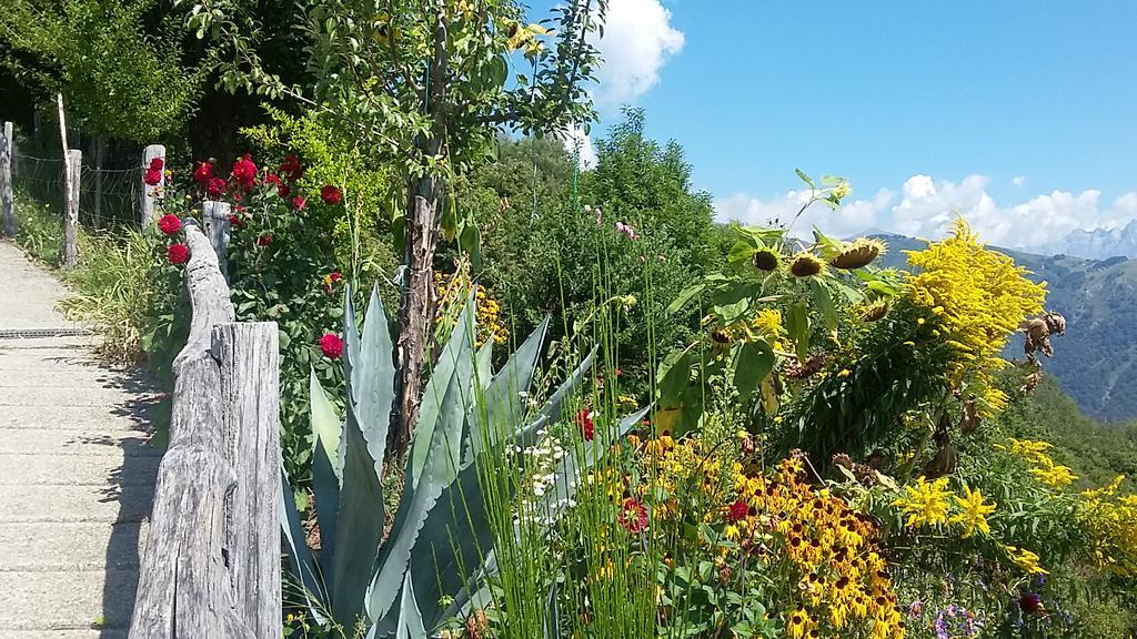 Agriturismo Zertin Gravedona Exteriör bild