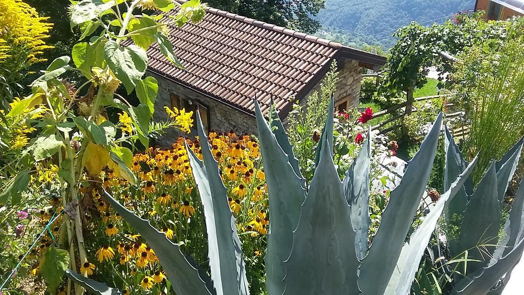 Agriturismo Zertin Gravedona Exteriör bild
